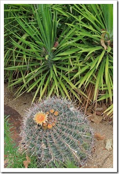 120727_Sedona-AZ_061 120727_Sedona-AZ_061