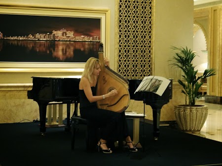 Canta la harpa