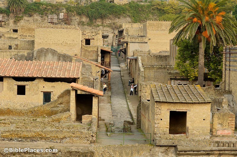 [Herculaneum-Cardo-IV-from-west-tb111.jpg]