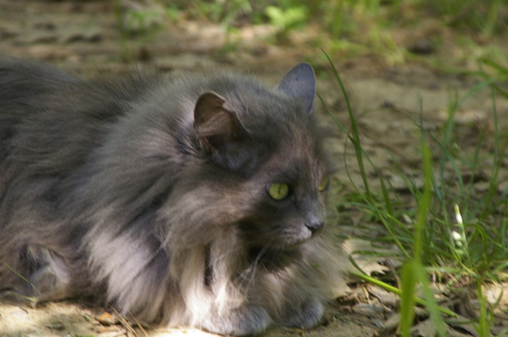 [Pentax%2520108%255B4%255D.jpg]