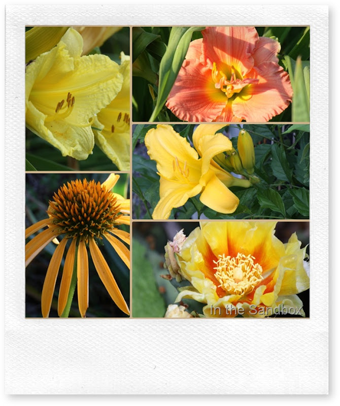 yellows and orange collage