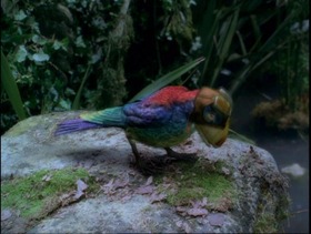 Dinotopia Screen 03
