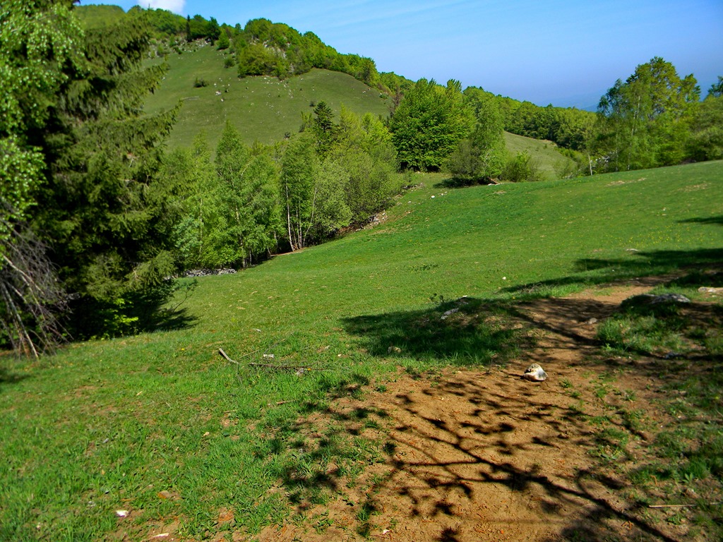 [DSCN83043.jpg]