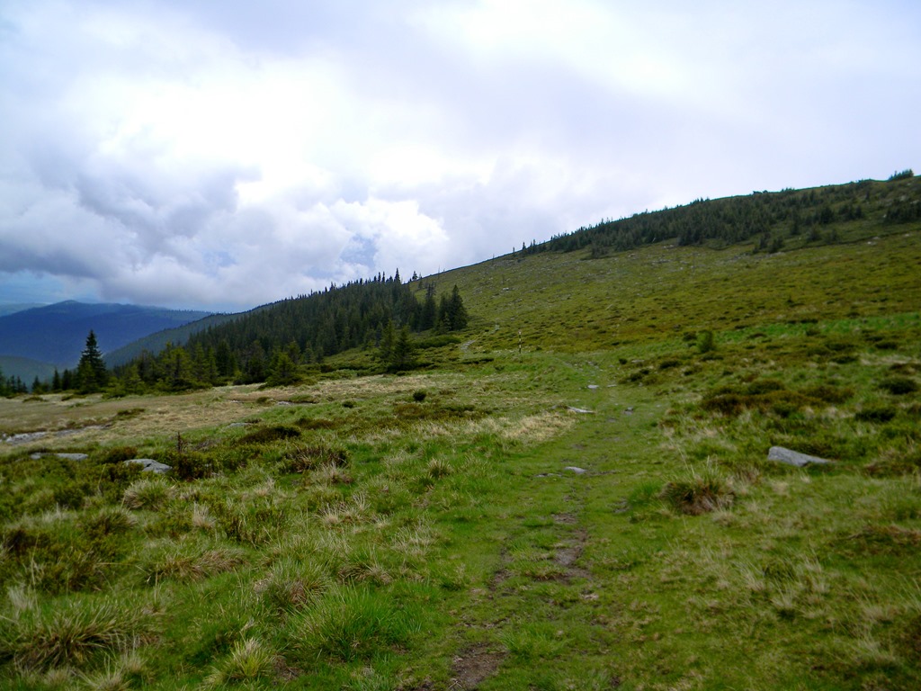 [DSCN04453.jpg]