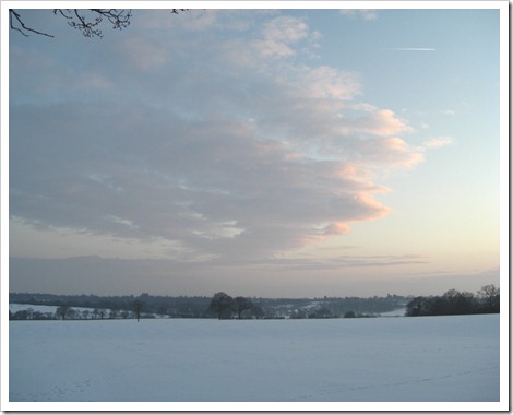 feb06 snowy fields 3