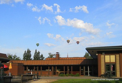 Balloons over Napa
