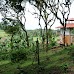Finca Neblina del Bosque - La Rampla, Nicaragua esteli-jinotega-miraflor_061.jpg