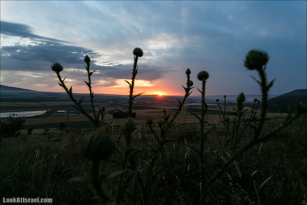 LookAtIsrael.com: Фото-блог о путешествиях по Израилю. Тель Авив, Иерусалим, Хайфа А потом еще до поздней ночи мы пекли мацу и ели жаренное мясо.Ночью проснулись от равномерного постукивания - шел дождь. Сработавший будильник заставил высунуть нос из палатки, а там….. 