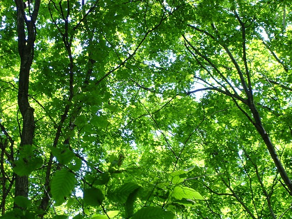 DSC01216.JPG DSC01216.JPG