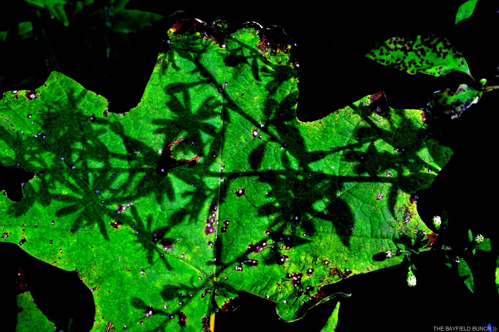 [DSC_0010%255B10%255D.jpg]