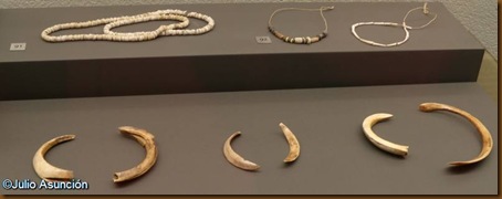 Collares de cuentas de piedra y colmillos de jabalí usados como elementos de adorno - Museo de Navarra