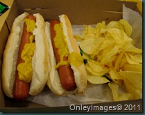 hot dog (2)