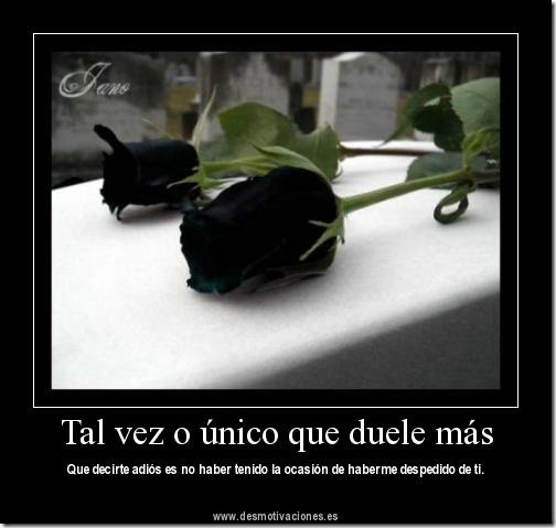 rosadnegra rosadnegra