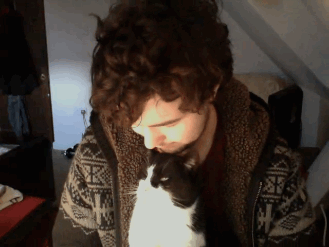 gato-besitos gato-besitos