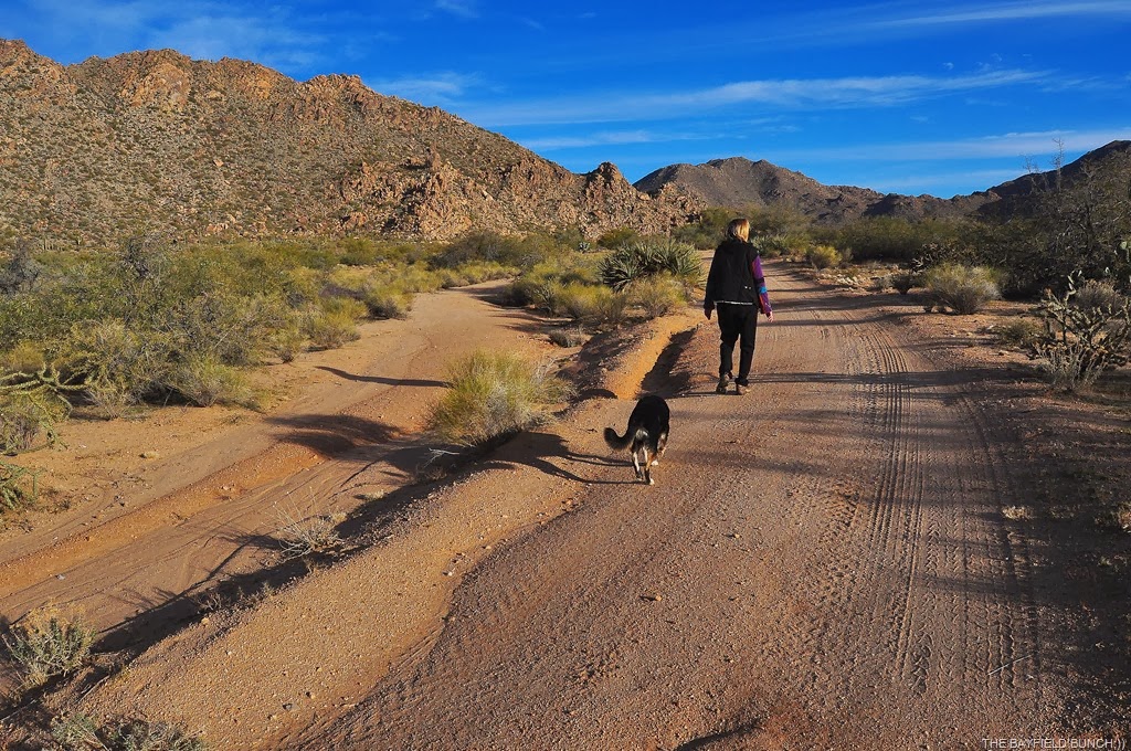 [DSC_0006%255B8%255D.jpg]