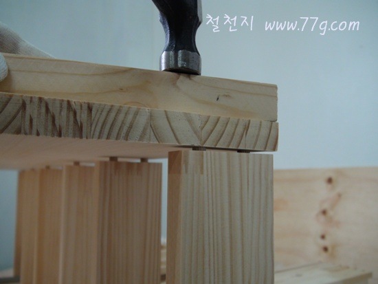 [DSC02702-20111122-1308223.jpg]