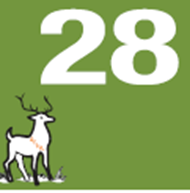31-Days-Calendar-Image