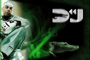 Dj Alligator Project