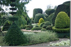 Levens Hall topiary 4