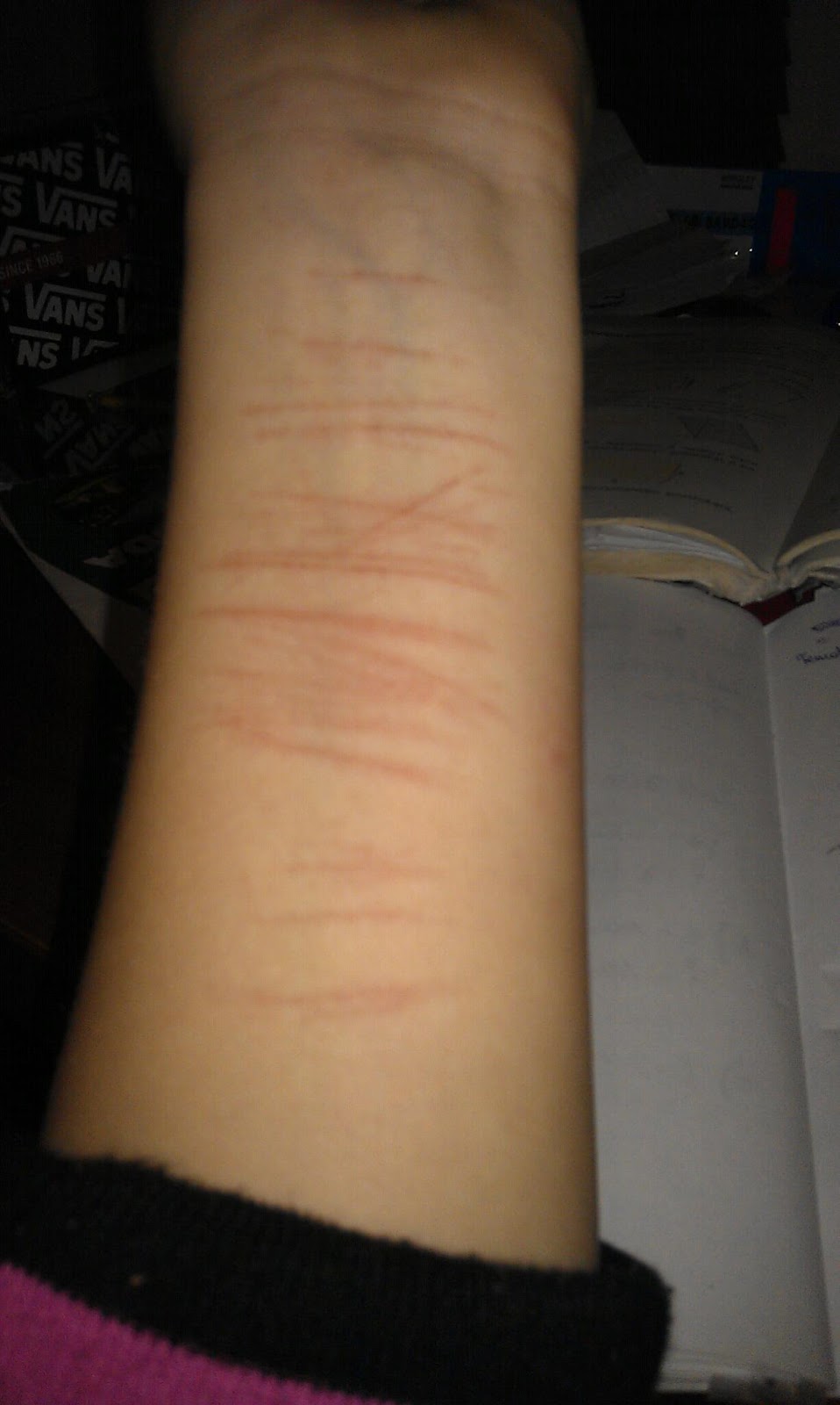 WikiAndNikiVLOG: Sala Samobójców