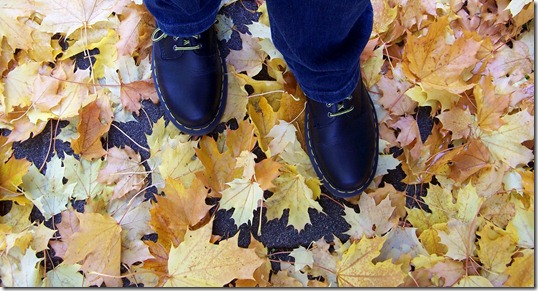Leaves and Shoes