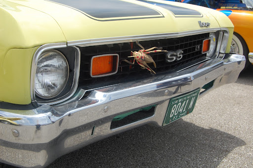1973 Chevrolet Nova SS with an