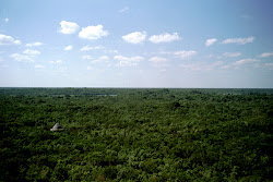 Reise nach Mexiko - 59