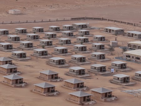 38. Arabian Oryx Camp in desertul din Oman.JPG