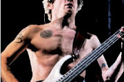Flea