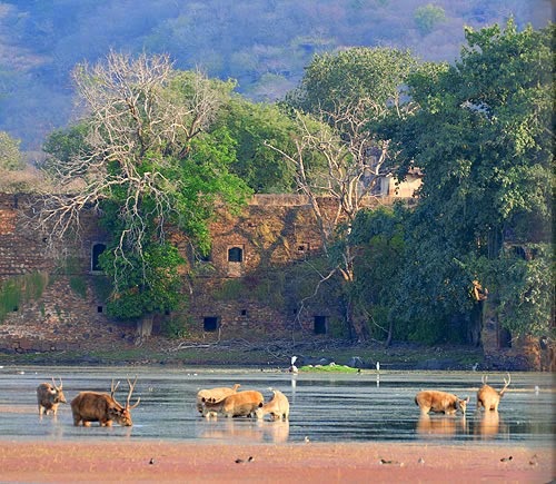 [AMANRESORTS-7%255B3%255D.jpg]