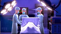04 les chirurgiens