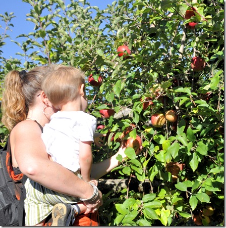 Finley and Mommy Picking Apple