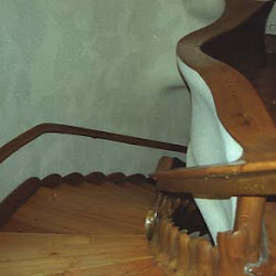 45.- Gaudí. Casa Batlló