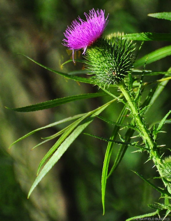 [DSC_0003%255B4%255D.jpg]