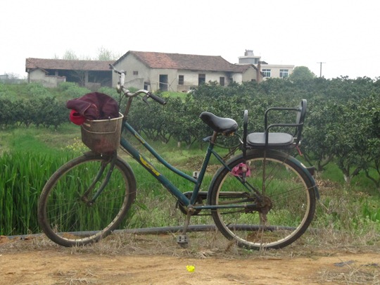 A Chinese farm worker's bicycle parked in the fields