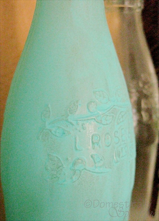 [blue-bottles-34.jpg]