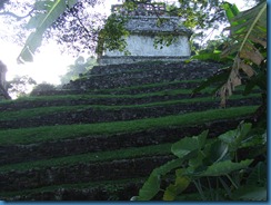 Palenque Ruins to San Christobel Sept 29 2012 013
