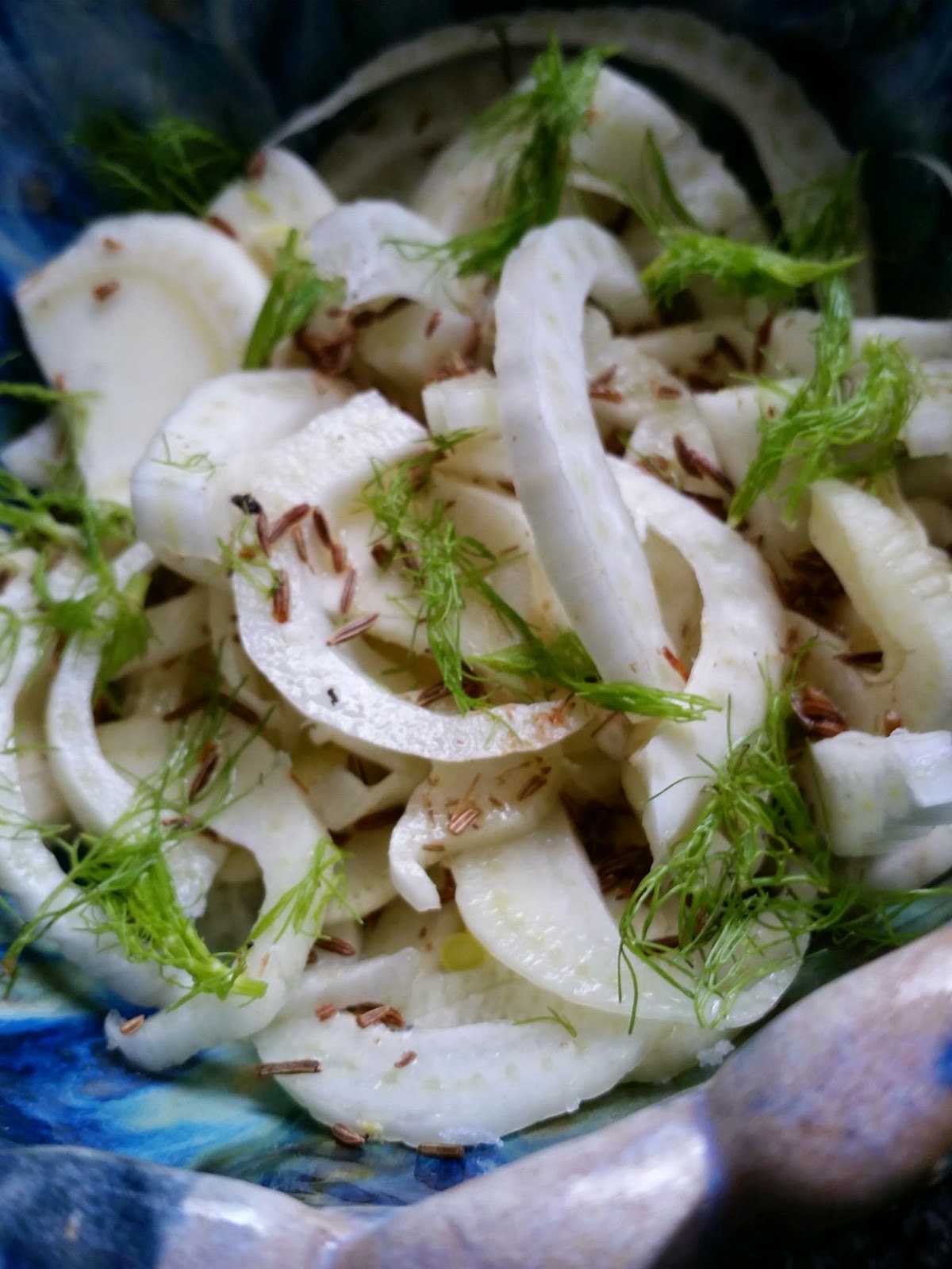 Paleo With Your Food That s An Order Fennel Bulb Salad With Caraway 