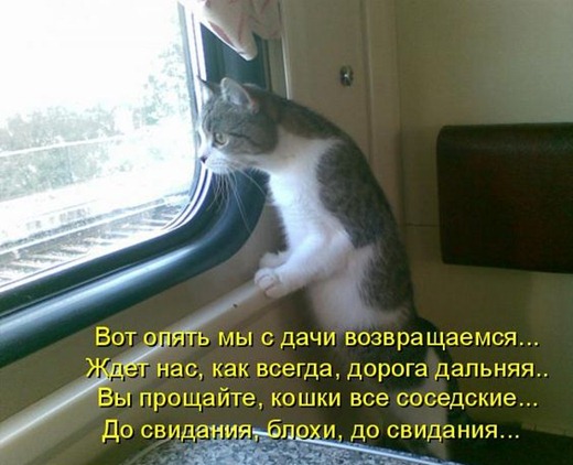 [kotomatrix_0591%255B3%255D.jpg]