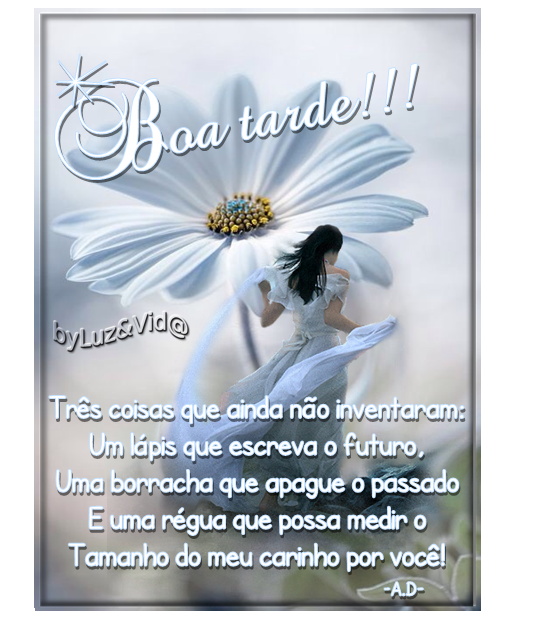 borda40%2528MB%2529maryluz.png