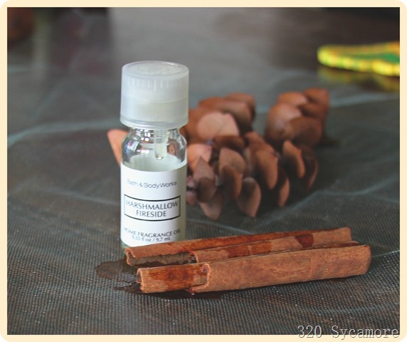 use cinnamon sticks -- oil -- eucalyptus