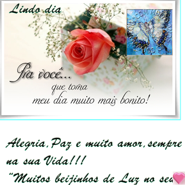 pravocecommuitoamor2.png