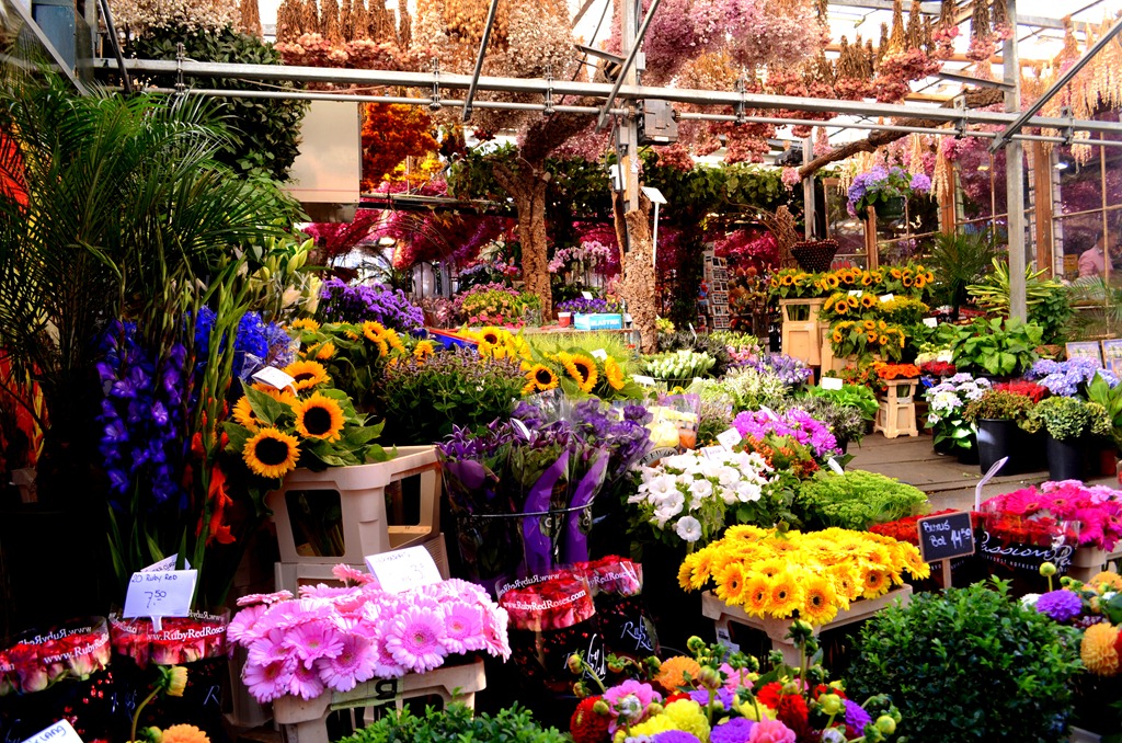 [amsterdam-flower%2520market%255B4%255D.jpg]