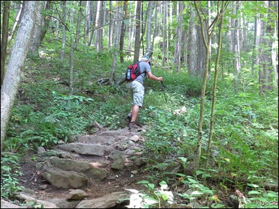Byron Reece trailhead to Blood Mountain and Appalachian trail