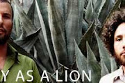 One Day as a Lion