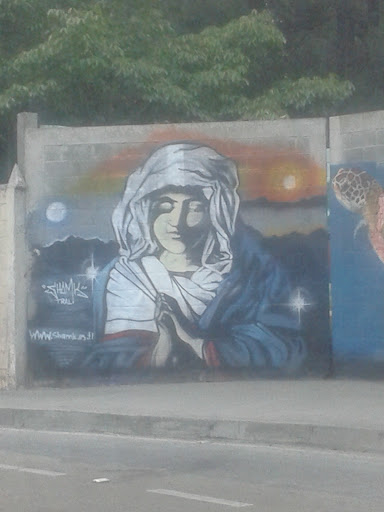 Virgen Graffity 