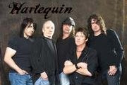 Harlequin