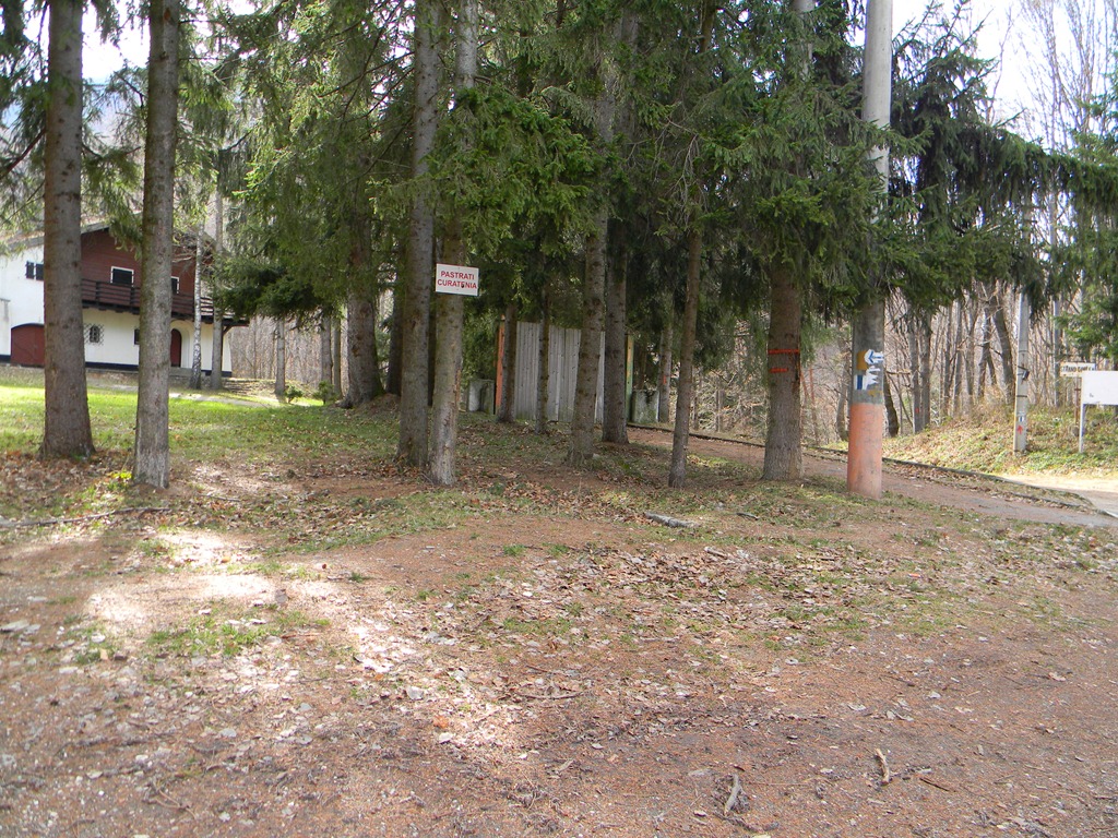 [DSCN82003.jpg]