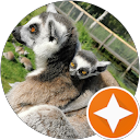 Image Google de Caroline 974