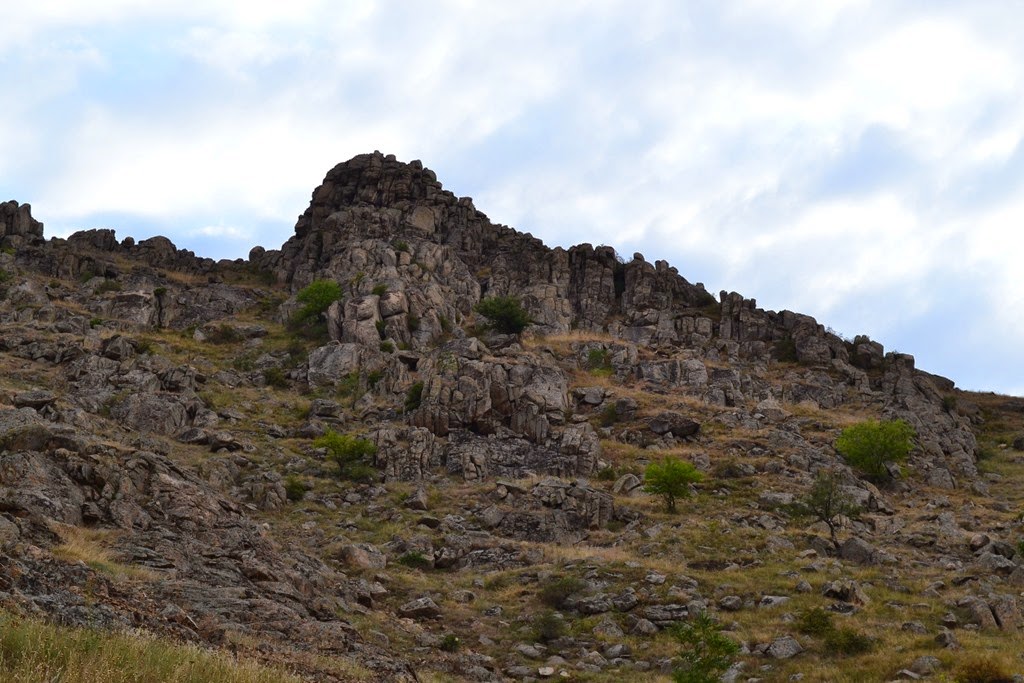 [DSC_57903.jpg]